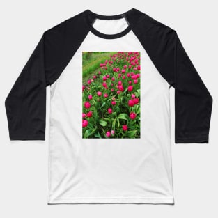 Tulip Fields Baseball T-Shirt